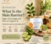 Featured Image of Article Skin Barrier: Signs of Damage and How to Support It
